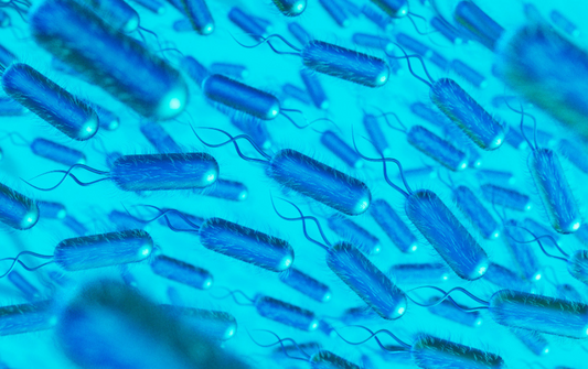 Helicobacter pylori: Cómo se contagia y cómo evitarlo