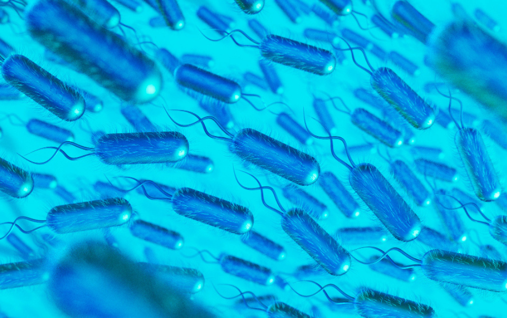 Helicobacter pylori: Cómo se contagia y cómo evitarlo