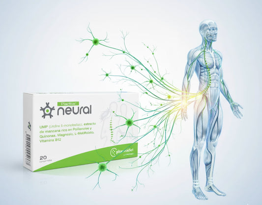 Qué es Plactive Neural: Cómo favorece la regeneración nerviosa y el bienestar neuromuscular