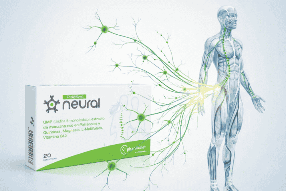 Qué es Plactive Neural: Cómo favorece la regeneración nerviosa y el bi ...
