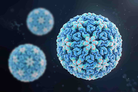 ¿Qué es el VPH? Tipos, síntomas y riesgo real de cáncer